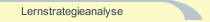 Lernstrategieanalyse