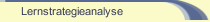 Lernstrategieanalyse